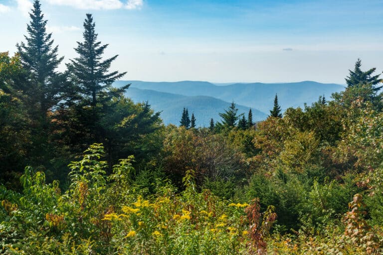 The view from Mount Greylock