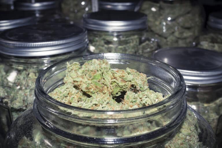 Get a Cheap Ounce of Weed in Massachusetts