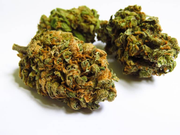 Half Ounces of Small Buds of Flower for Sale for $54 Out the Door in MA